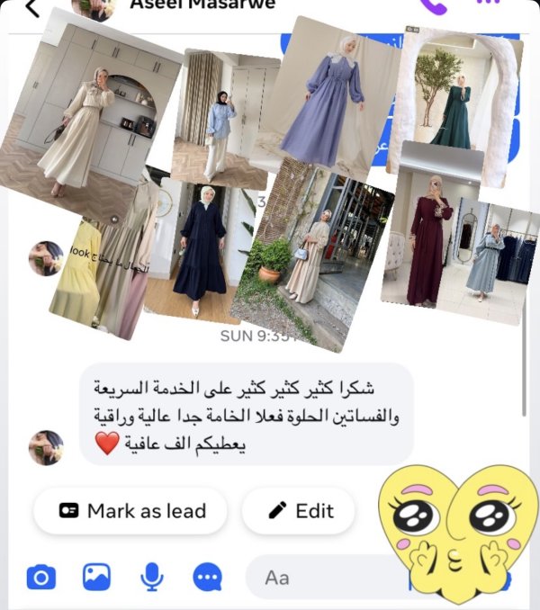 اسيل من الداخل 